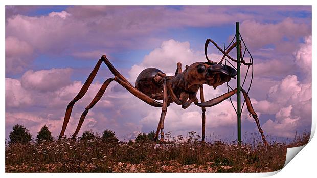 Giant Ant Print by Chris Thaxter