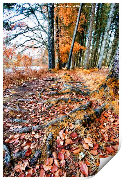 Scottish Highland late Autumn Print by Andy Anderson