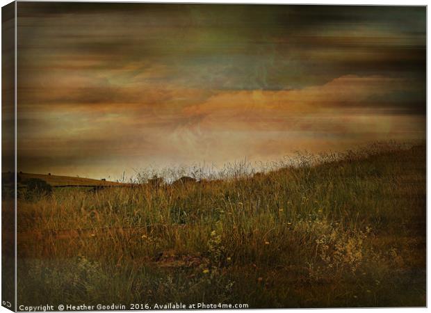 Grasslands. Canvas Print by Heather Goodwin