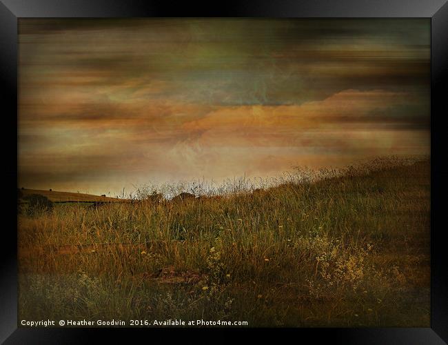 Grasslands. Framed Print by Heather Goodwin