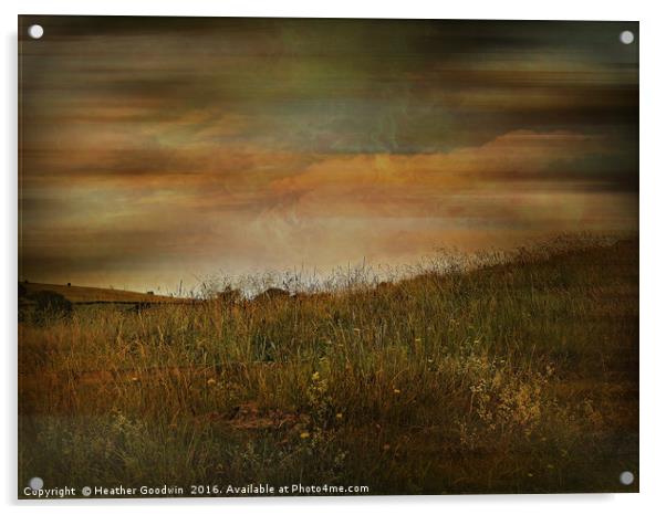 Grasslands. Acrylic by Heather Goodwin