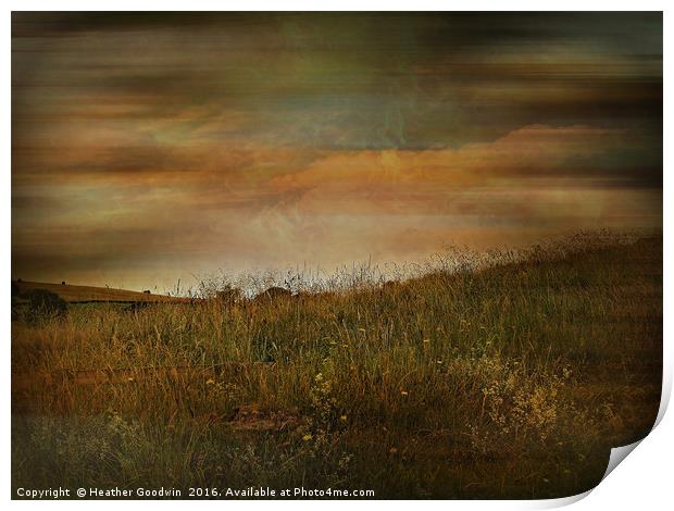 Grasslands. Print by Heather Goodwin