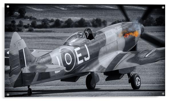 Johnnies Spitfire Acrylic by J Biggadike