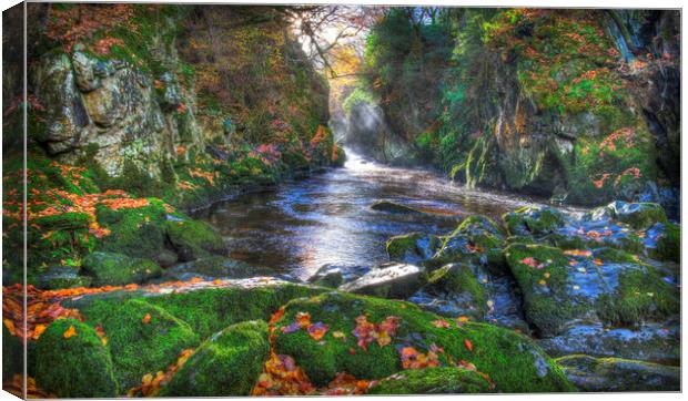            Fairy Glen Gorge in Autumn              Canvas Print by Mal Bray