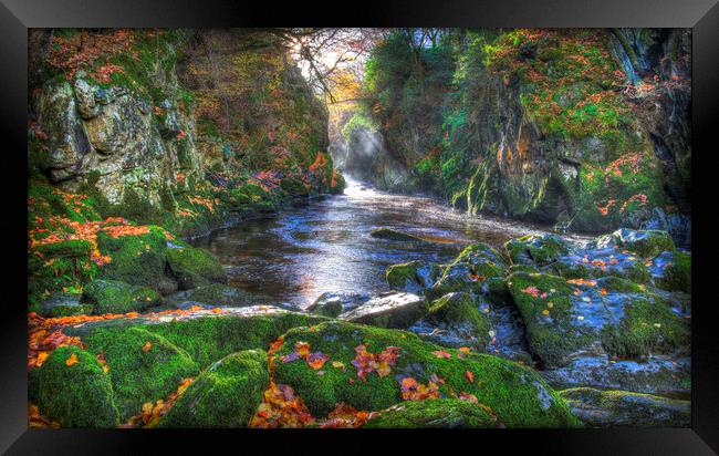            Fairy Glen Gorge in Autumn              Framed Print by Mal Bray