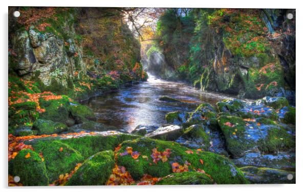            Fairy Glen Gorge in Autumn              Acrylic by Mal Bray