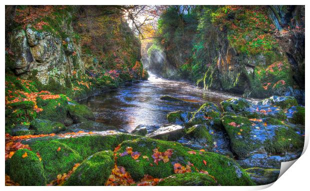            Fairy Glen Gorge in Autumn              Print by Mal Bray