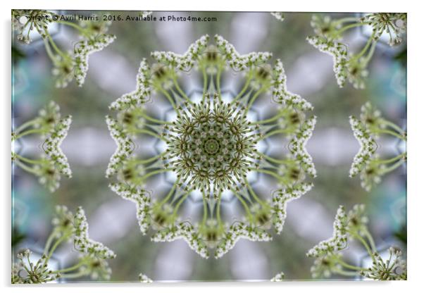 White Kaleidoscope Flower Acrylic by Avril Harris