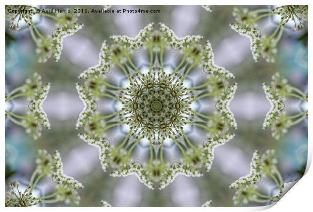 White Kaleidoscope Flower Print by Avril Harris