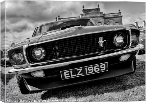 Mustang front Canvas Print by Graham Moore