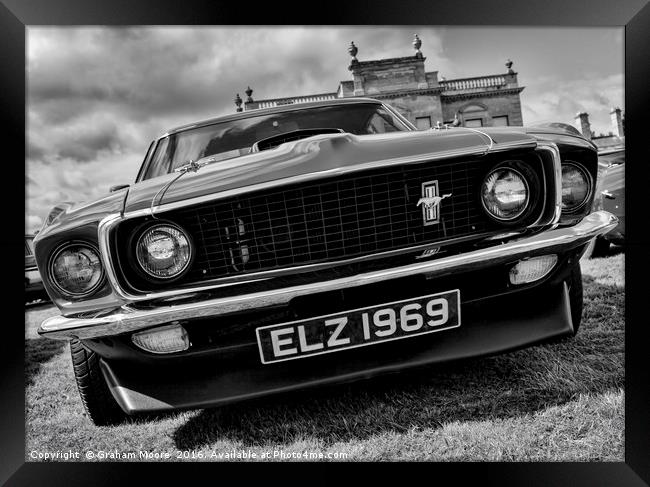 Mustang front Framed Print by Graham Moore