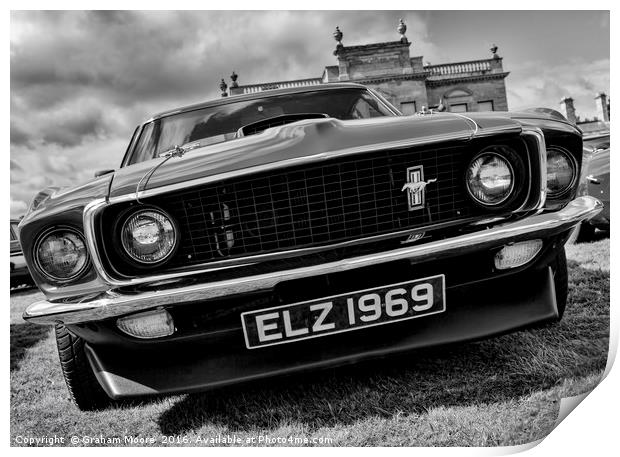 Mustang front Print by Graham Moore