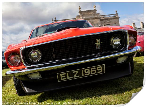 Mustang front Print by Graham Moore