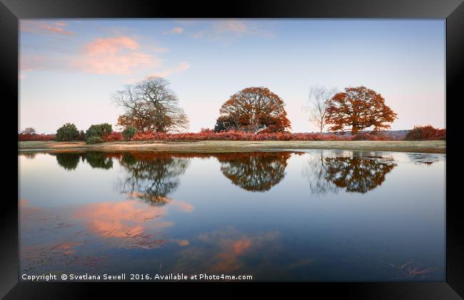 By the Lake Framed Print by Svetlana Sewell