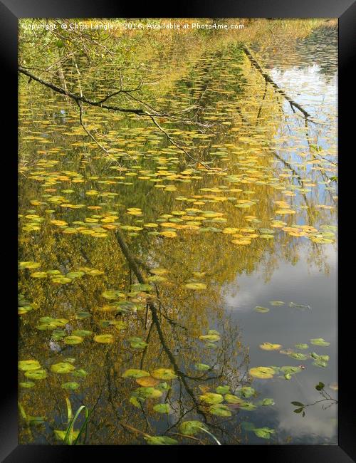 On Golden Pond Framed Print by Chris Langley