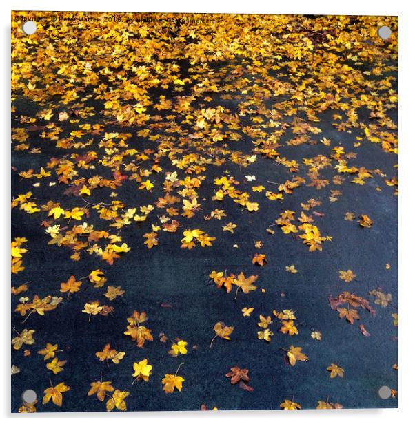 Fallen Golden Autumn Leaves Acrylic by Peter Hatter