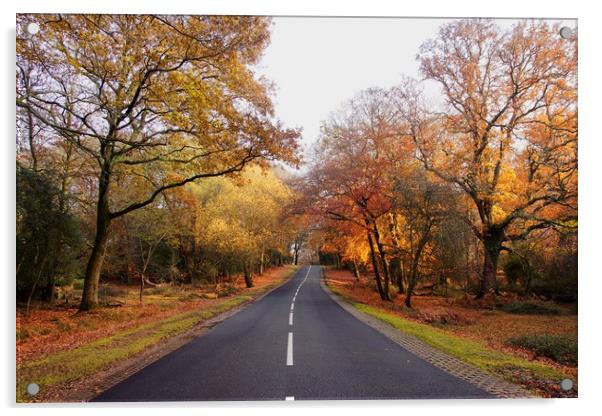 Autumn in  the New Forest Hampshire Acrylic by JC studios LRPS ARPS