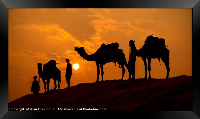 Camels and minders in silhouette, India Framed Print by Alan Crawford
