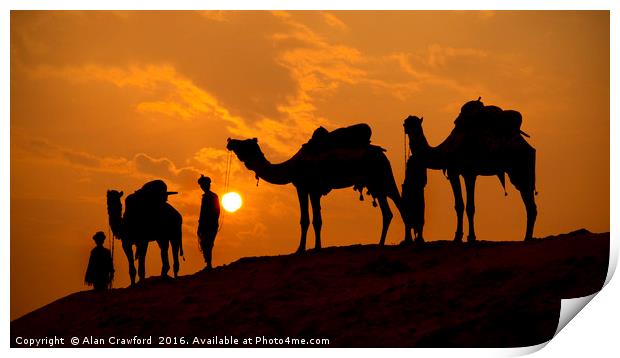 Camels and minders in silhouette, India Print by Alan Crawford