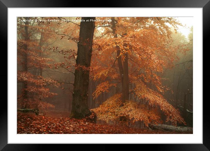 Silence In Misty Woods Framed Mounted Print by Jenny Rainbow