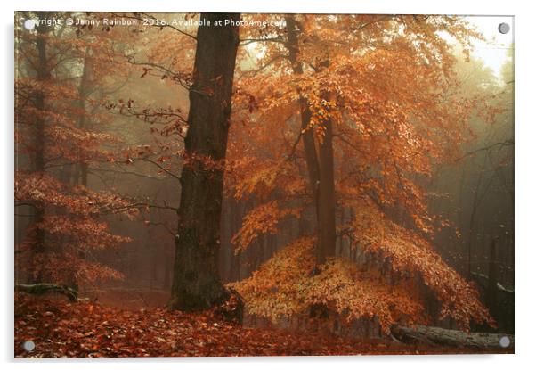 Silence In Misty Woods Acrylic by Jenny Rainbow
