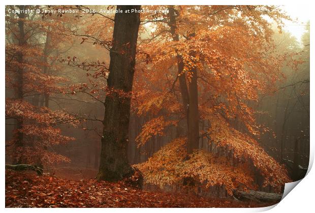 Silence In Misty Woods Print by Jenny Rainbow