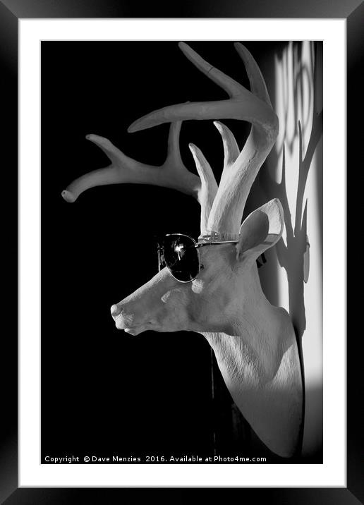 Cool Deer Framed Mounted Print by Dave Menzies