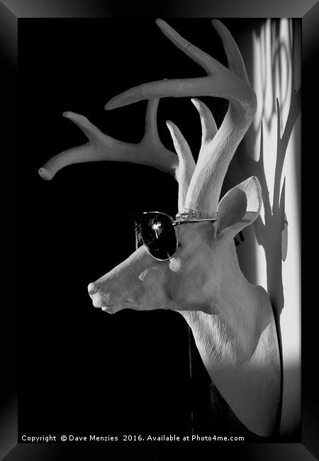Cool Deer Framed Print by Dave Menzies