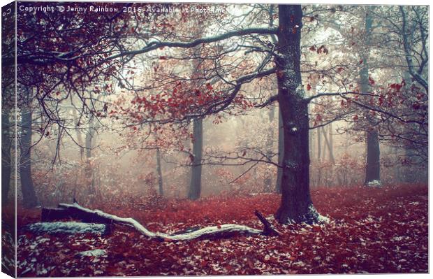 First Snow in Fall Woods Canvas Print by Jenny Rainbow