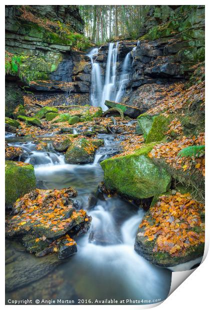 Autumnal Wharnley Burn Waterfall  Print by Angie Morton
