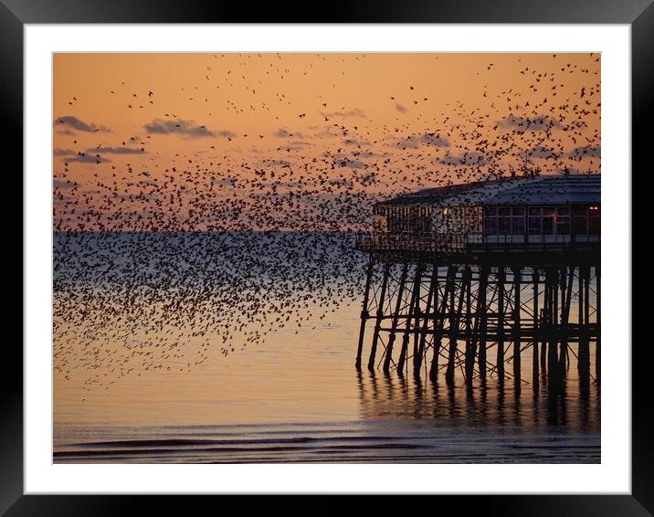 Starlings Framed Mounted Print by Victor Burnside