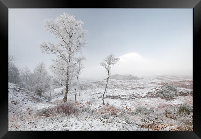 Glen Shiel Misty Winter Trees Framed Print by Grant Glendinning