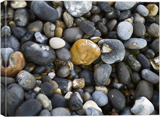 Pebbles Canvas Print by David French