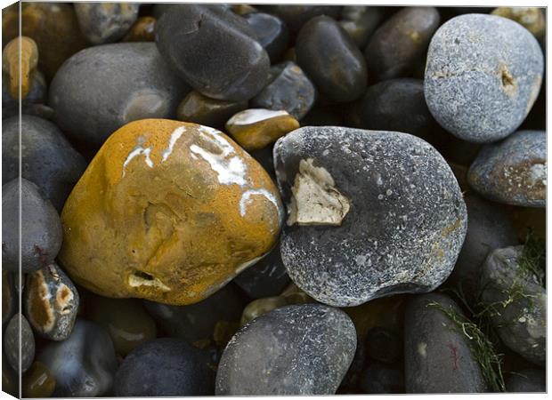 Pebbles Canvas Print by David French