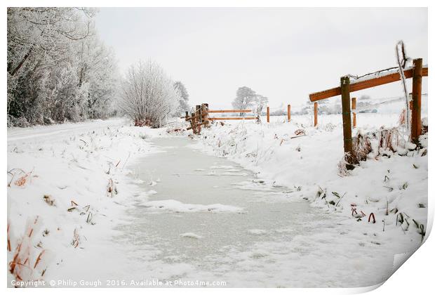 Winter Snow on The Somerset Levels Print by Philip Gough