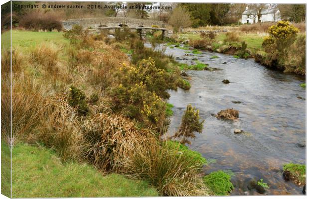 EAST DART RIVER Canvas Print by andrew saxton