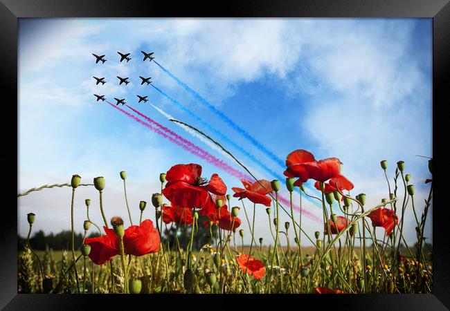 Reds and Poppies Framed Print by J Biggadike