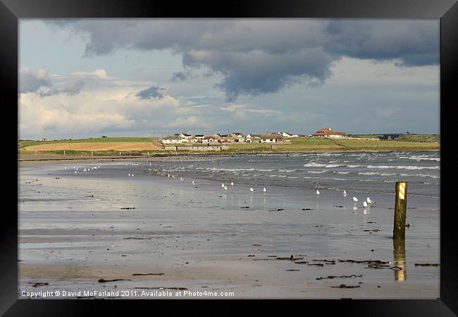 Tyrella, County Down Framed Print by David McFarland