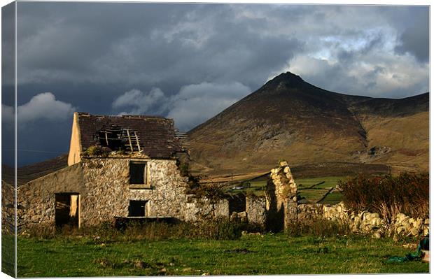 derelict in the Mournes Canvas Print by David McFarland