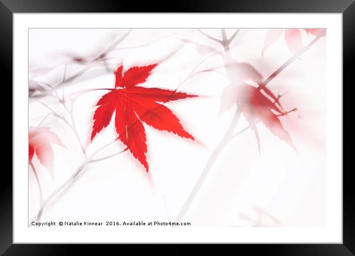 Maple Leaf Abstract 2 Framed Mounted Print by Natalie Kinnear