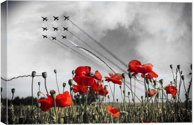 Red and Poppies - Selective Canvas Print by J Biggadike