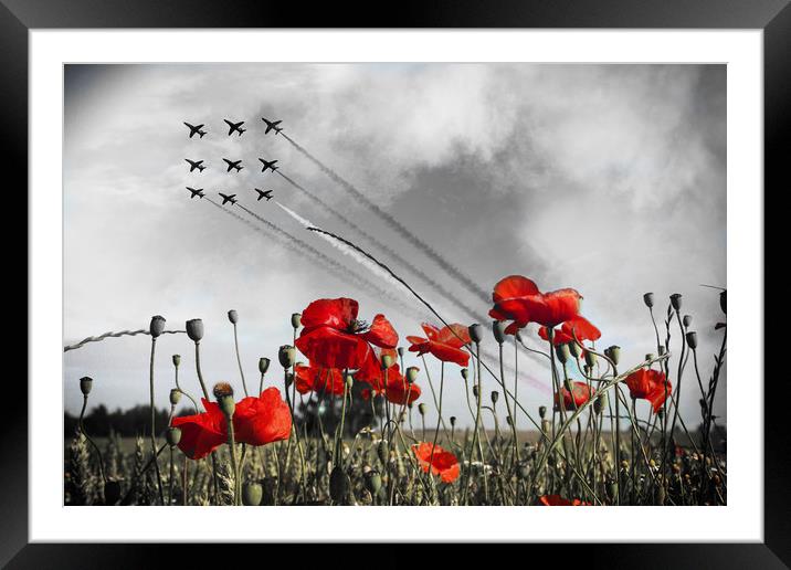 Red and Poppies - Selective Framed Mounted Print by J Biggadike