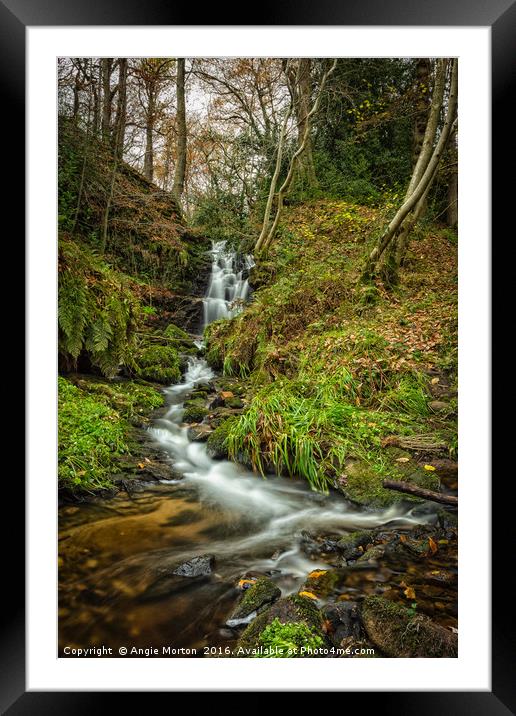 Black Brook Waterfall Framed Mounted Print by Angie Morton