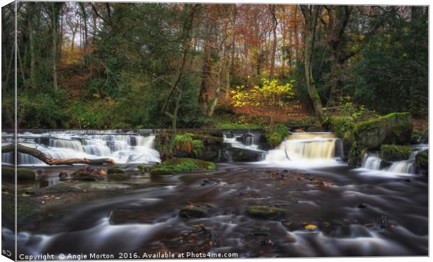 Rivelin Falls in Autumn Canvas Print by Angie Morton