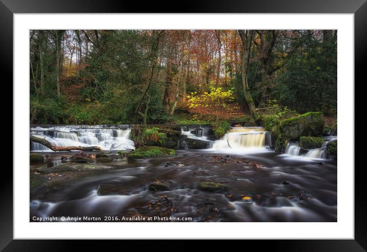 Rivelin Falls in Autumn Framed Mounted Print by Angie Morton