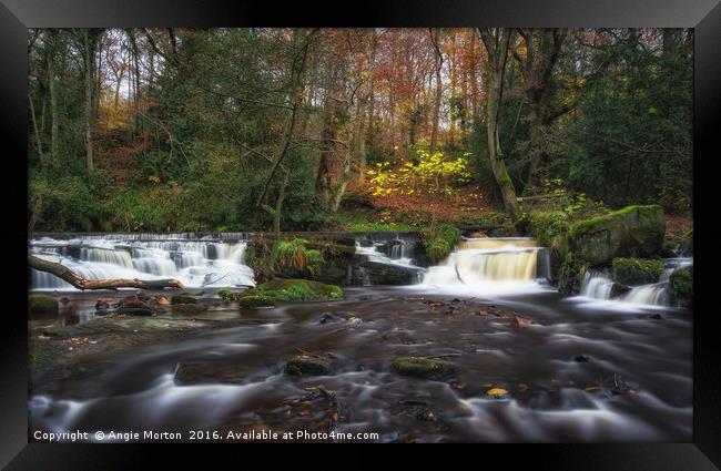 Rivelin Falls in Autumn Framed Print by Angie Morton