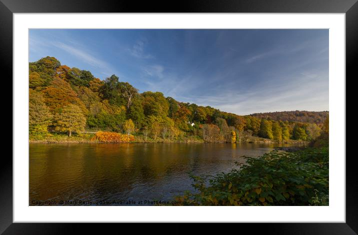 River Tay Birnam Framed Mounted Print by Mark Perry