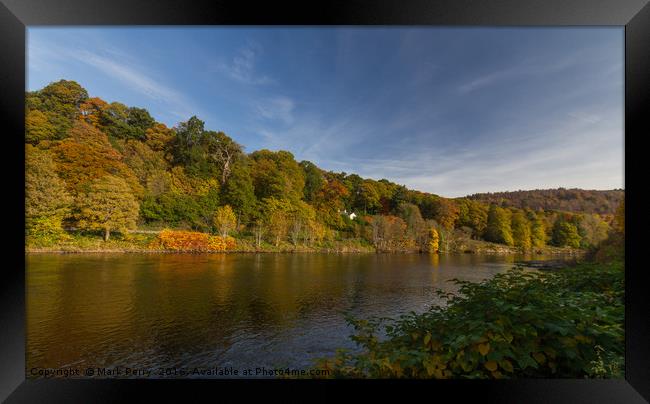 River Tay Birnam Framed Print by Mark Perry
