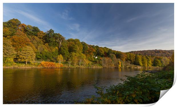 River Tay Birnam Print by Mark Perry