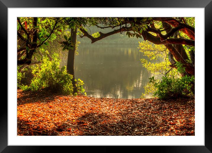 Early Light Framed Mounted Print by Bob Barnes